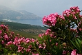 121_Kreta_w drodze na Elafonisi